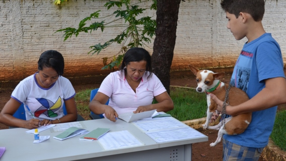 Tocantins se prepara para campanha de vacinação antirrábica
